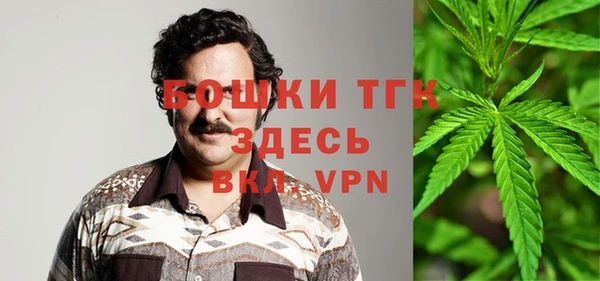 стафф Вяземский