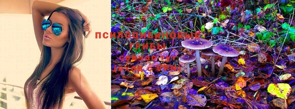 каннабис Вязьма