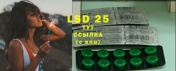 стафф Вяземский